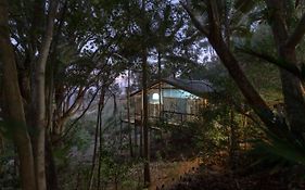 Treetops Seaview Montville